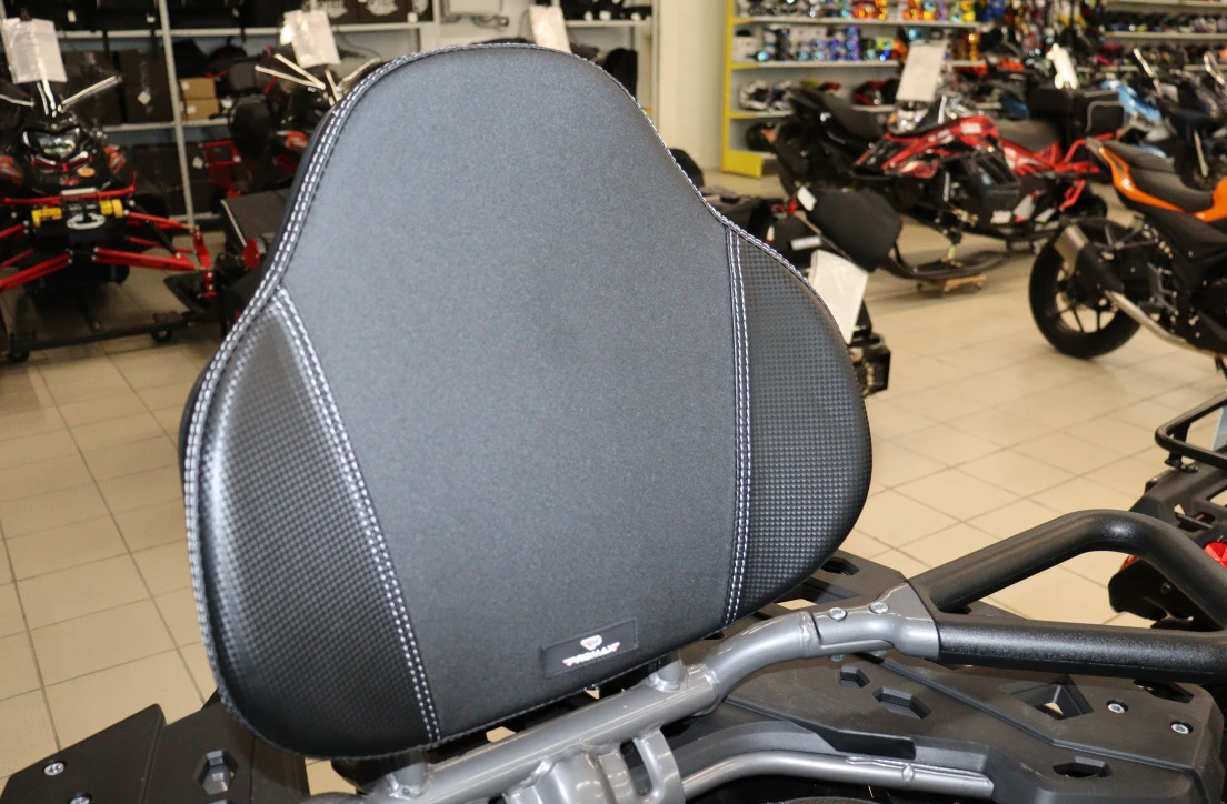 Квадроцикл PROMAX RENEGADE 300 LONG WINCH PRO (2025) в Новочебоксарске