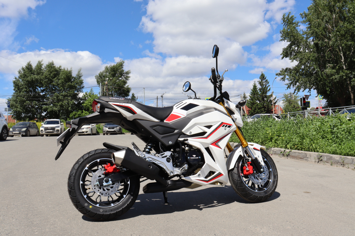 Мотоцикл PROMAX STRYKER 200(49) 2.0 в Новочебоксарске