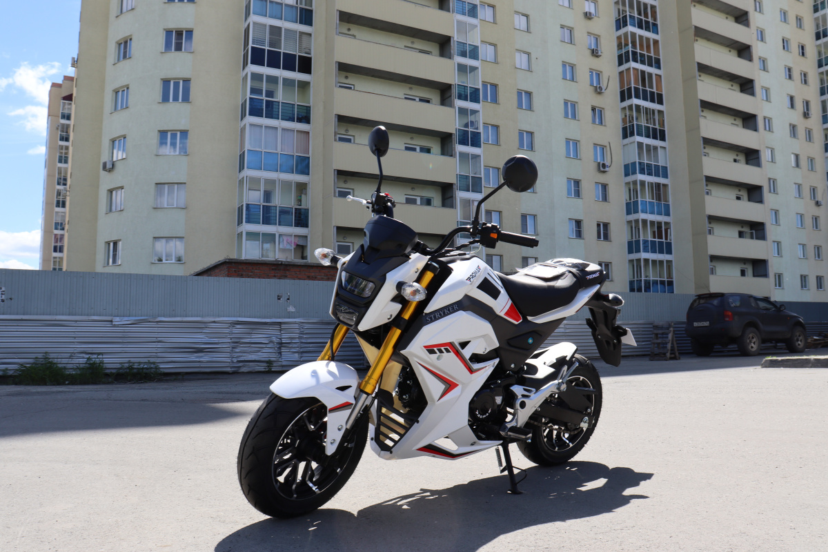 Мотоцикл PROMAX STRYKER 200(49) 2.0 в Новочебоксарске