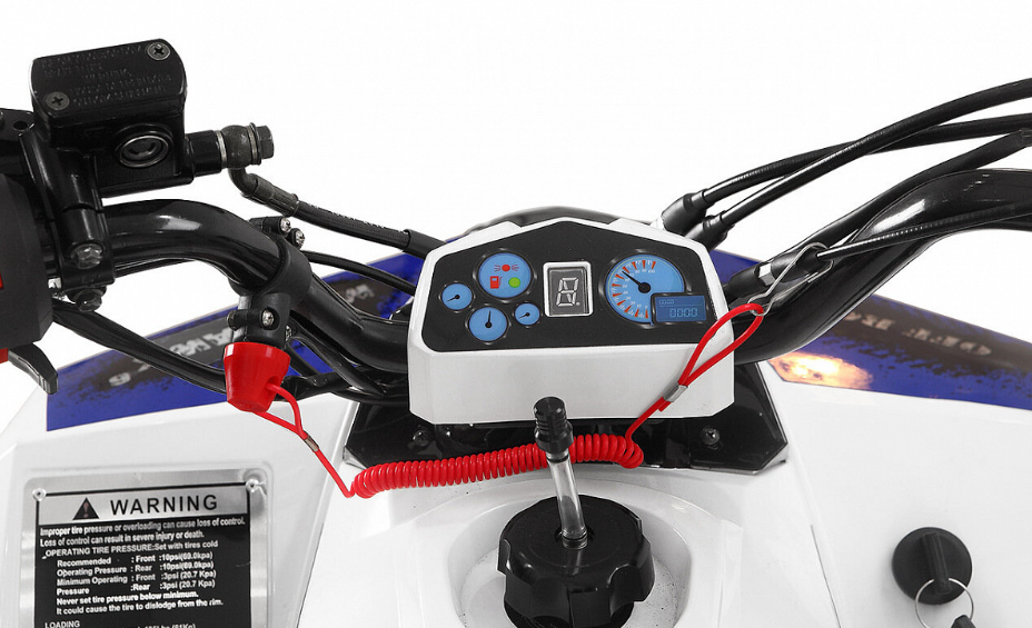 Квадроцикл Yacota Raposa 110 в Новочебоксарске