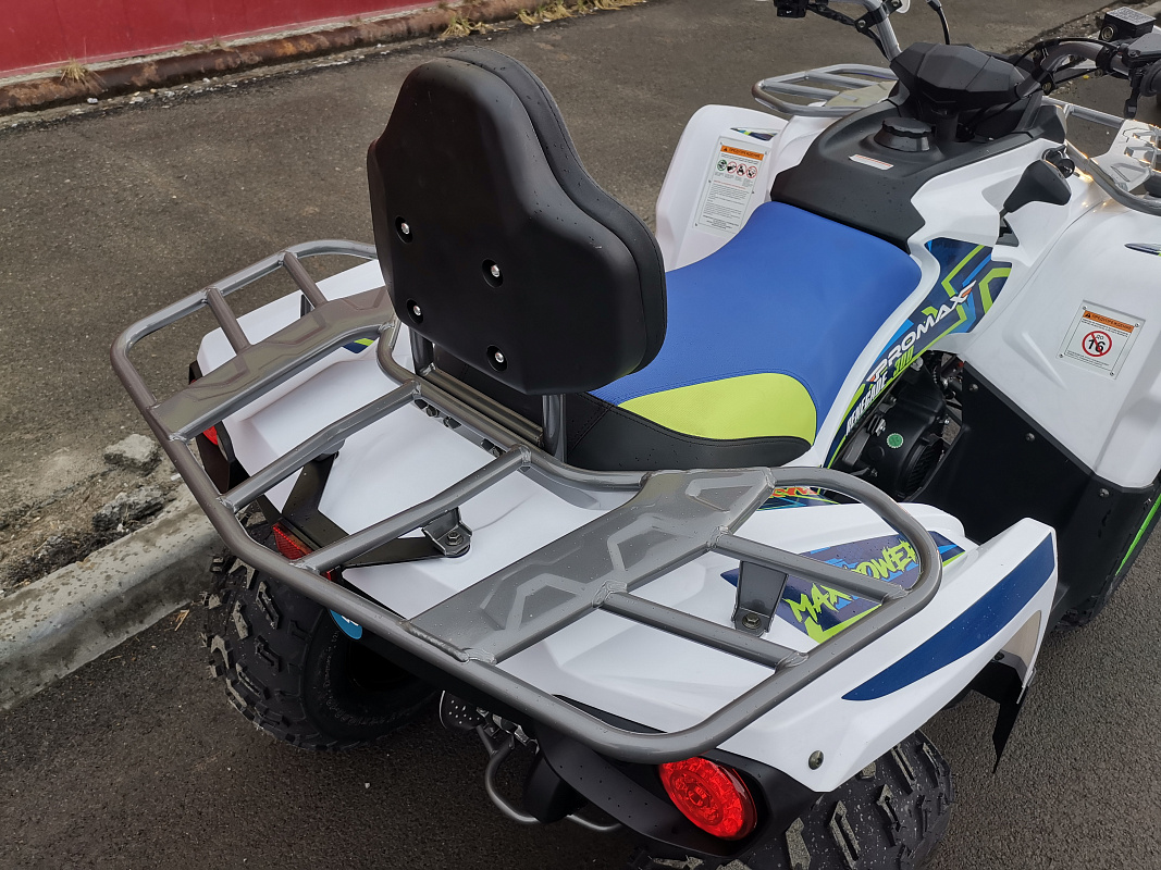 Квадроцикл PROMAX RENEGADE 280 LUX (2025) в Новочебоксарске