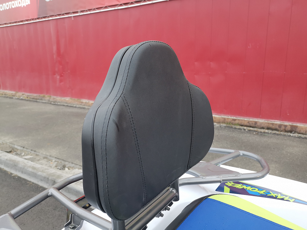 Квадроцикл PROMAX RENEGADE 280 LUX (2025) в Новочебоксарске