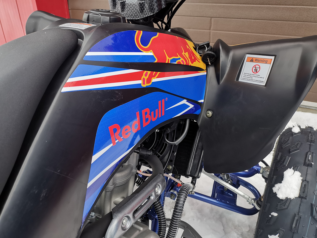 Квадроцикл PROMAX RAPTOR 300 NEW RedBull в Новочебоксарске