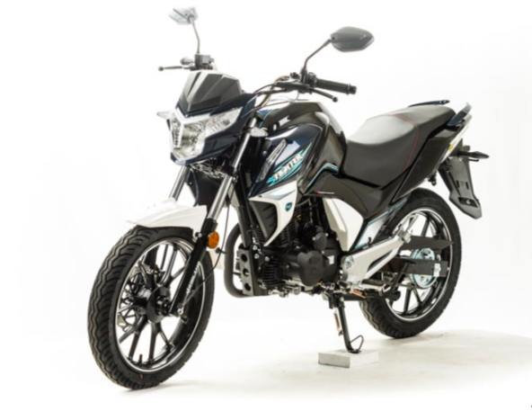 Мотоцикл MOTOLAND (МОТОЛЕНД) FIGHTER 250 в Новочебоксарске