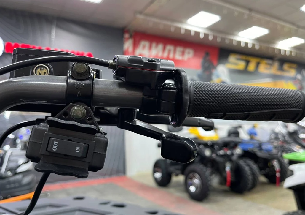 Квадроцикл PROMAX RENEGADE 300 LONG WINCH PRO (2025) в Новочебоксарске