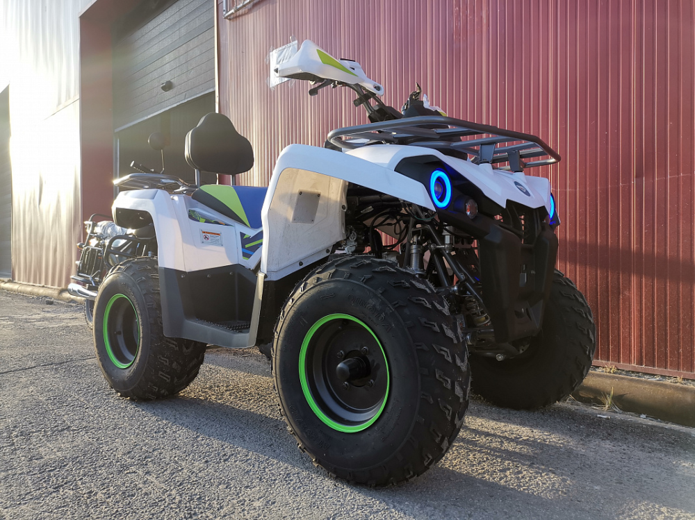 Квадроцикл PROMAX RENEGADE 280 LUX (2025) в Новочебоксарске