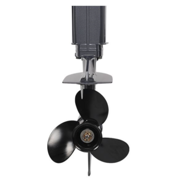 Лодочный мотор ALLFA CG Т40FW S в Новочебоксарске