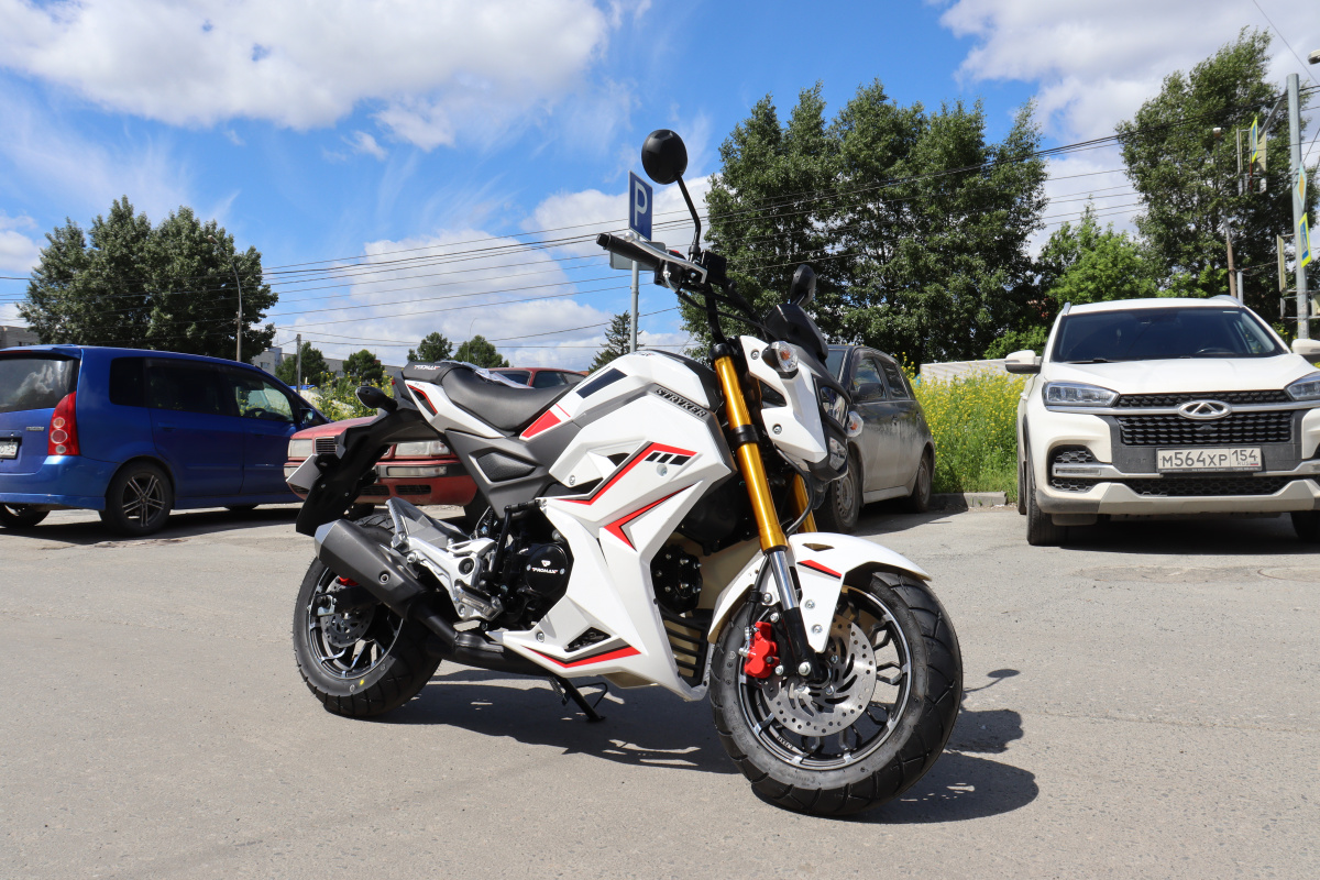 Мотоцикл PROMAX STRYKER 200(49) 2.0 в Новочебоксарске