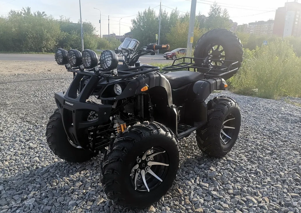 Квадроцикл PROMAX LEO 300 Max (кардан) в Новочебоксарске