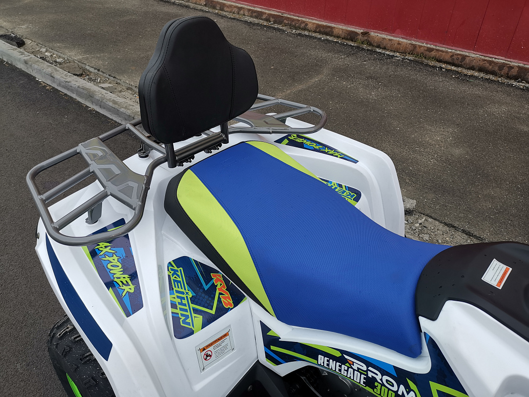 Квадроцикл PROMAX RENEGADE 280 LUX (2025) в Новочебоксарске