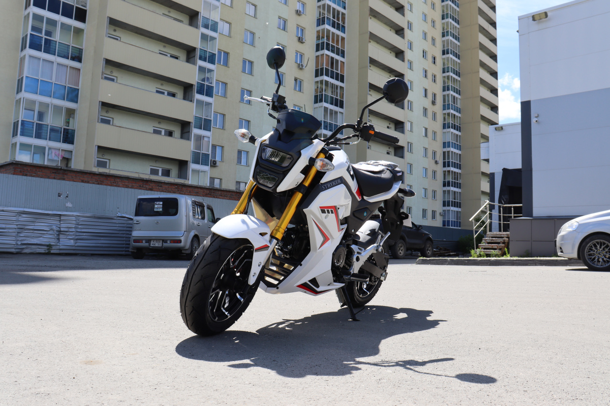 Мотоцикл PROMAX STRYKER 200(49) 2.0 в Новочебоксарске