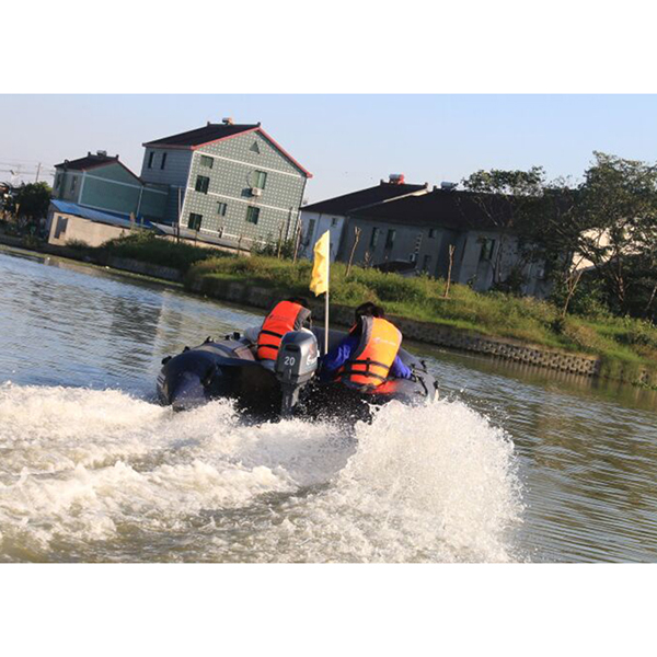 ЛОДОЧНЫЙ МОТОР ALLFA CG Т20 в Новочебоксарске