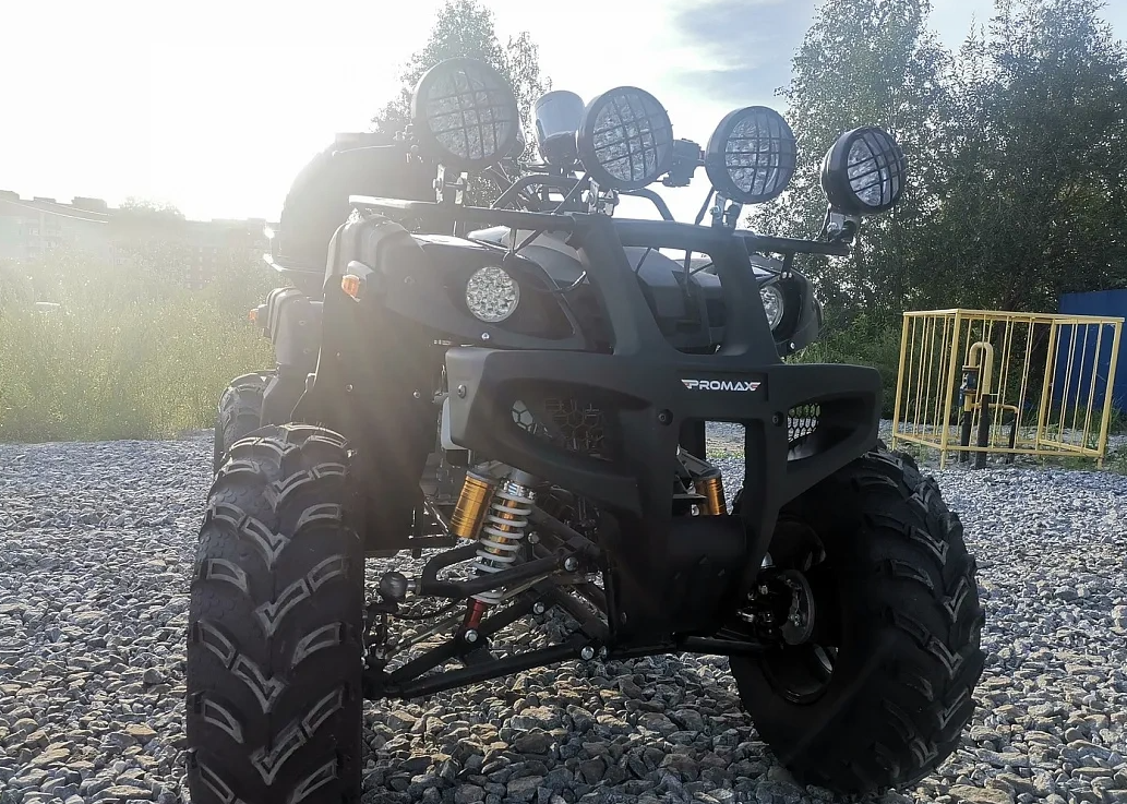 Квадроцикл PROMAX LEO 300 Max (кардан) в Новочебоксарске