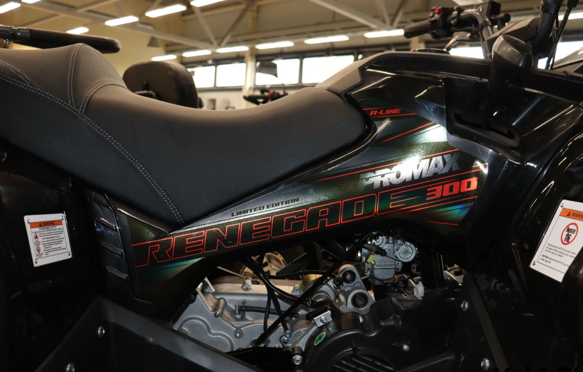 Квадроцикл PROMAX RENEGADE 300 LONG WINCH PRO (2025) в Новочебоксарске