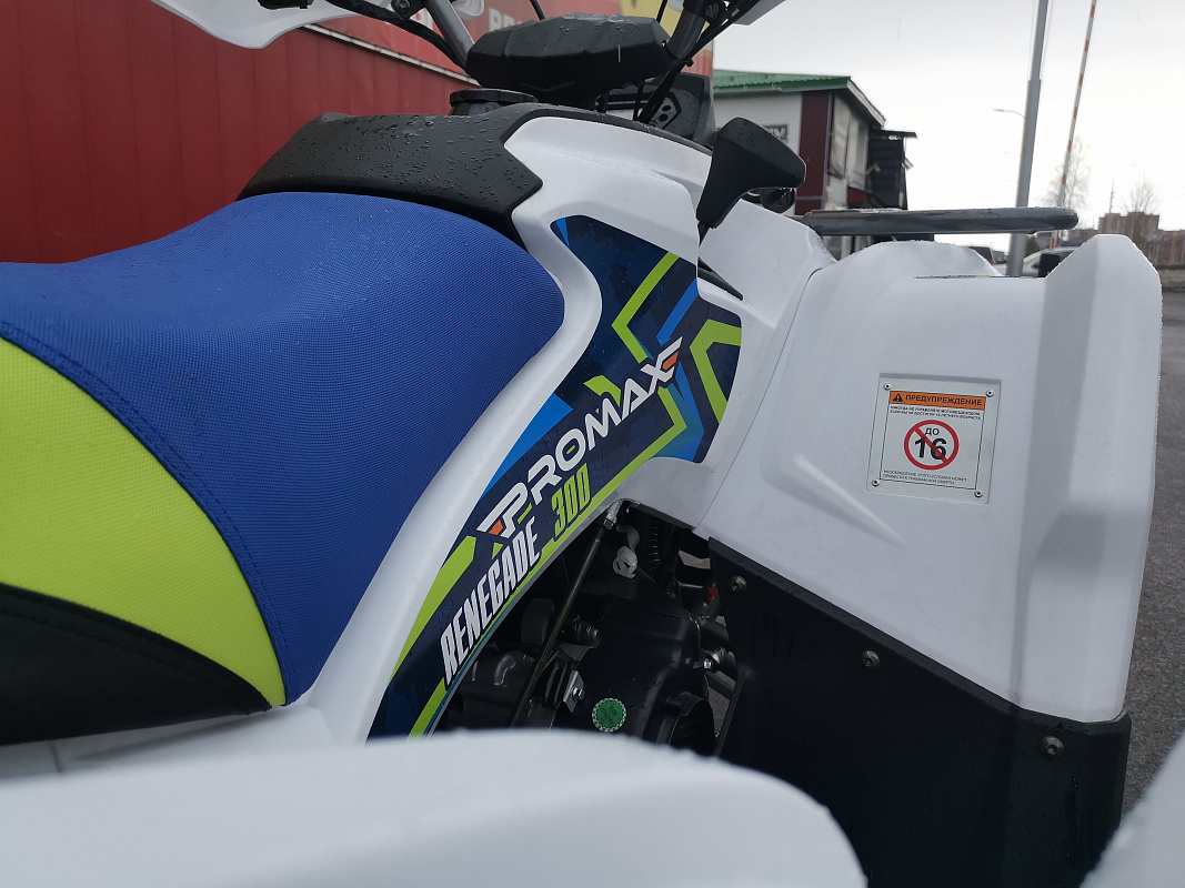 Квадроцикл PROMAX RENEGADE 280 LUX (2025) в Новочебоксарске