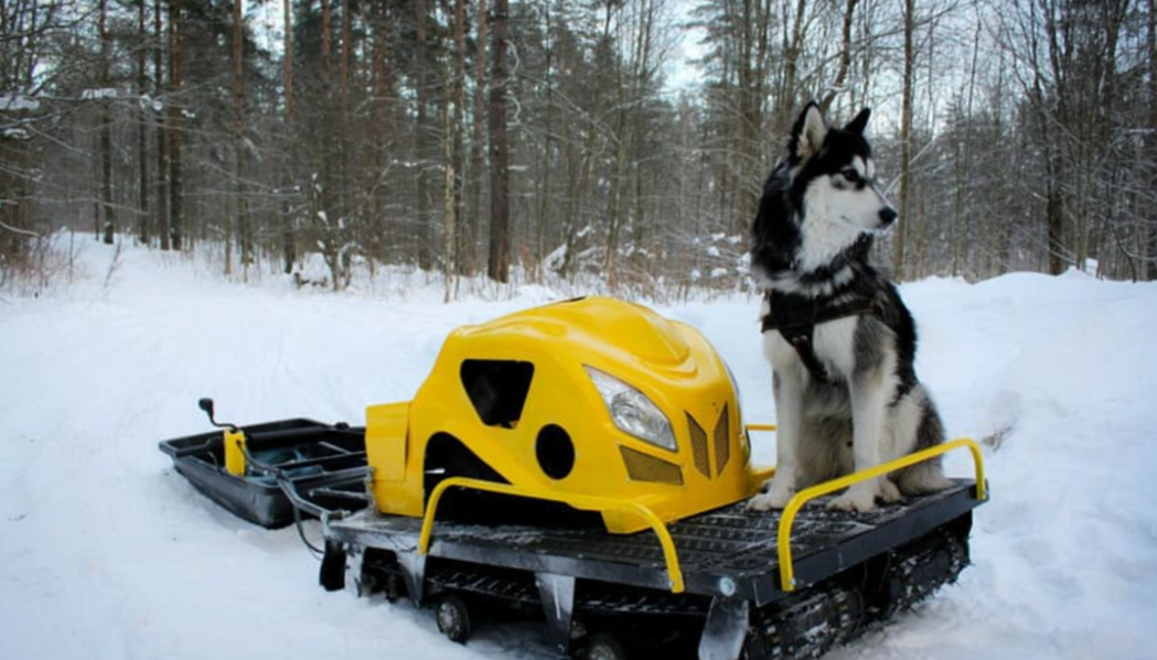 Мотобуксировщик LEBEDEV MOTORS ВОЛКОДАВ POWER V13 в Новочебоксарске