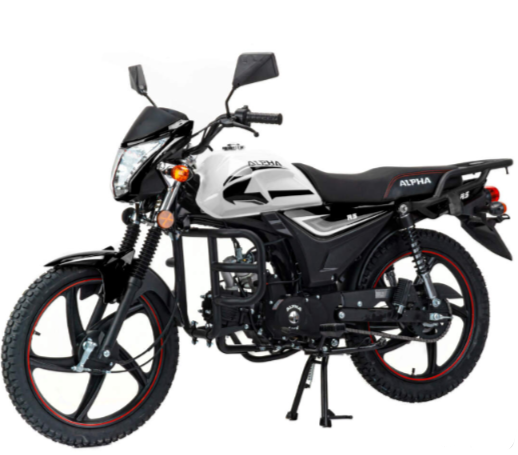 Мопед MOTOLAND (МОТОЛЕНД) Альфа RS 11 (LM48-B) в Новочебоксарске