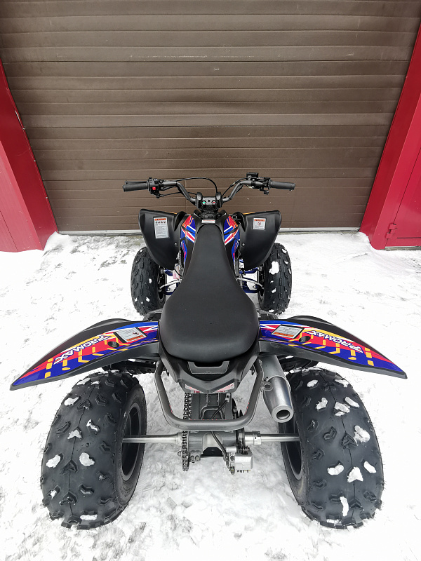 Квадроцикл PROMAX RAPTOR 300 NEW RedBull в Новочебоксарске