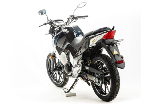 Мотоцикл MOTOLAND (МОТОЛЕНД) FIGHTER 250 в Новочебоксарске