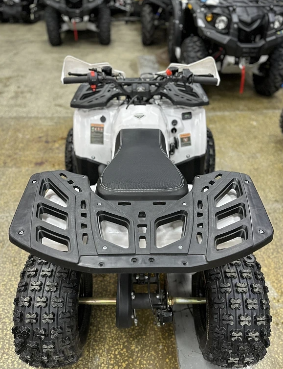 Квадроцикл PROMAX WILD 2.0 190 в Новочебоксарске