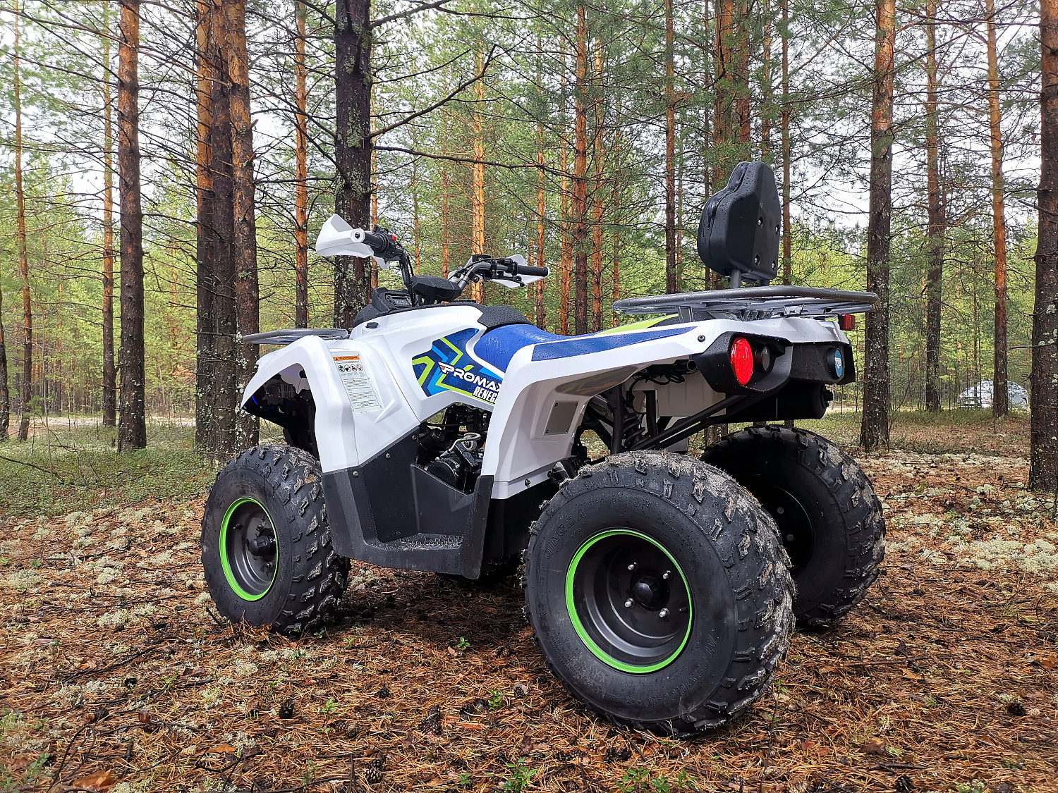 Квадроцикл PROMAX RENEGADE 280 (2025) в Новочебоксарске