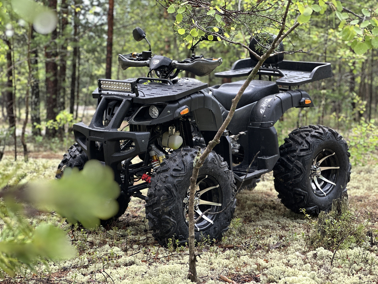 Квадроцикл PROMAX 320 DOMINATOR (2025) в Новочебоксарске