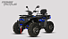 Квадроцикл PROMAX TAURUS 300 MAX-PRO LONG в Новочебоксарске