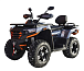 Квадроцикл MOTOLAND (МОТОЛЕНД) 300 MAX X в Новочебоксарске