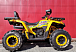 Квадроцикл PROMAX STORM 280 LUX в Новочебоксарске