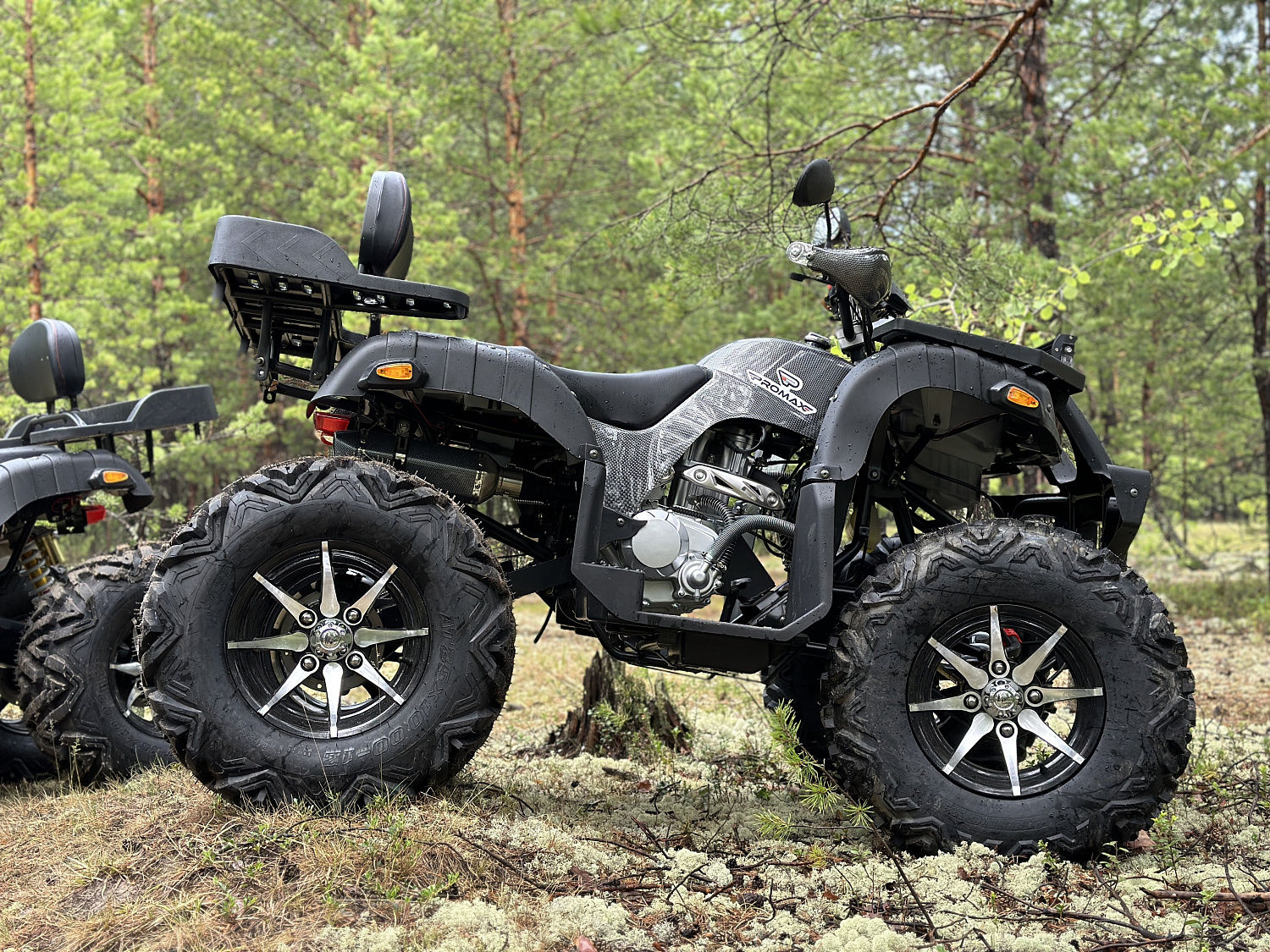 Квадроцикл PROMAX 320 DOMINATOR (2025) в Новочебоксарске