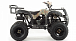 Квадроцикл MOTOLAND (МОТОЛЕНД) 200 ALL ROAD в Новочебоксарске
