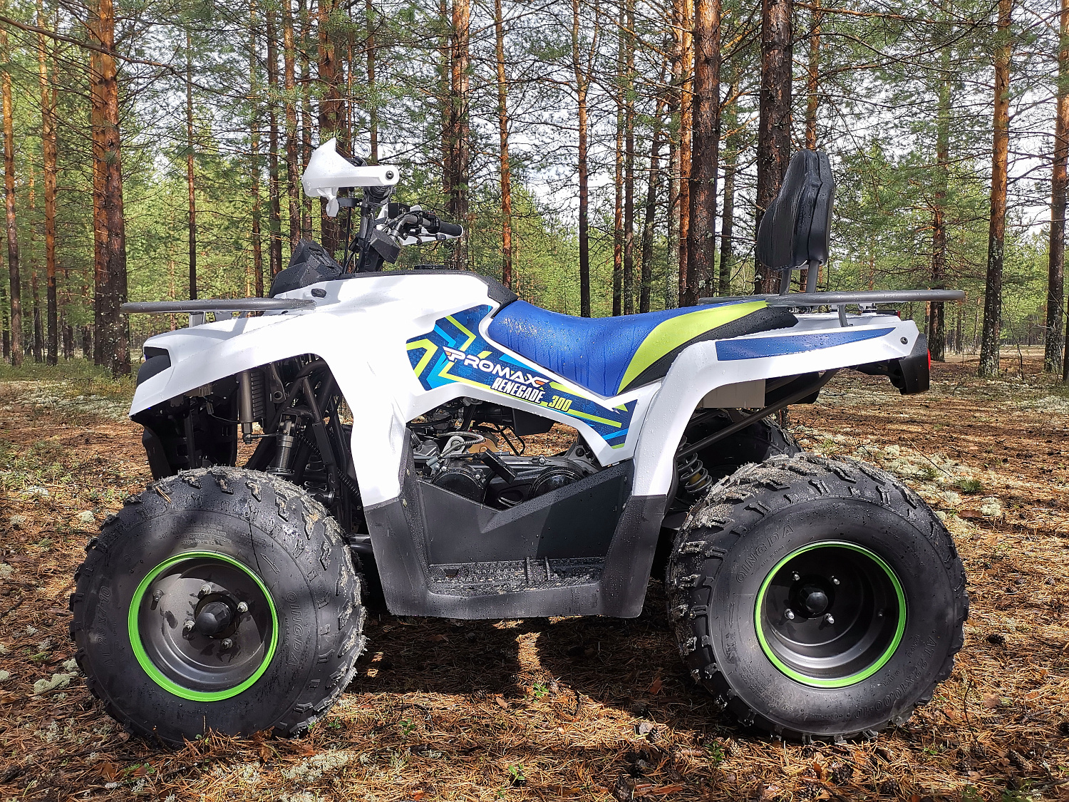 Квадроцикл PROMAX RENEGADE 280 (2025) в Новочебоксарске