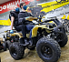 Квадроцикл PROMAX ATV 250 (2025) в Новочебоксарске