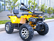 Квадроцикл MOTOLAND (МОТОЛЕНД) VOX200 WILD TRACK X PRO (баланс. вал) в Новочебоксарске