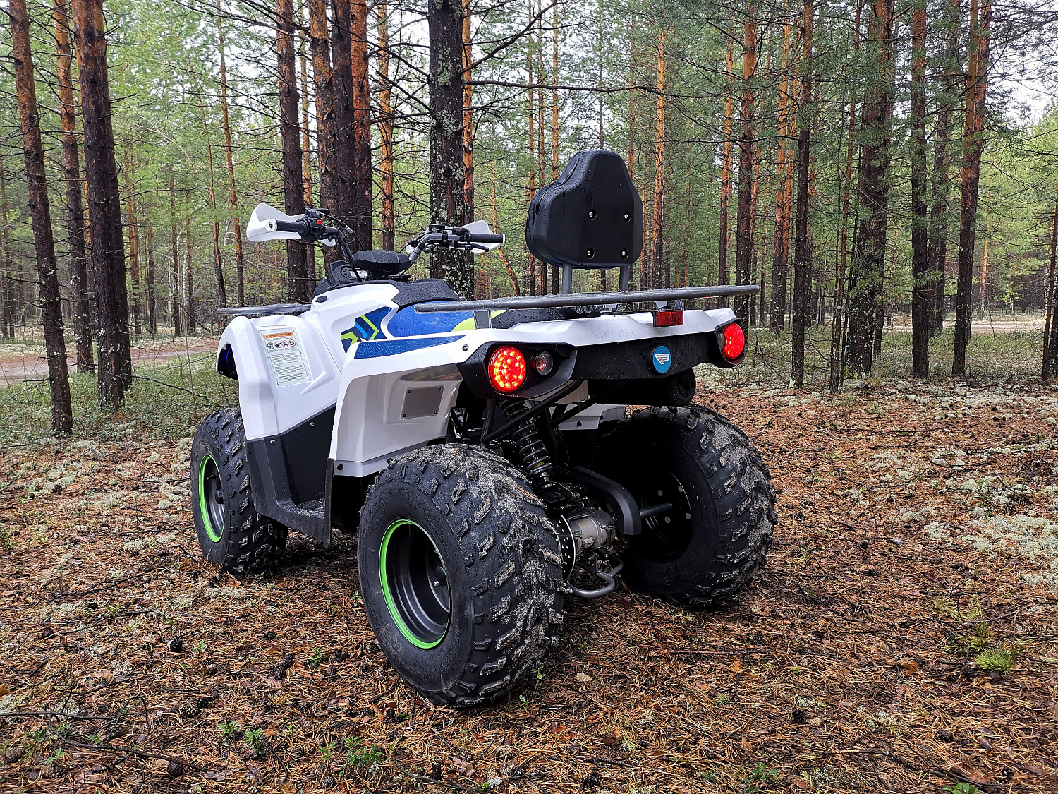 Квадроцикл PROMAX RENEGADE 280 (2025) в Новочебоксарске