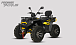 Квадроцикл PROMAX TAURUS 300 MAX-PRO LONG в Новочебоксарске